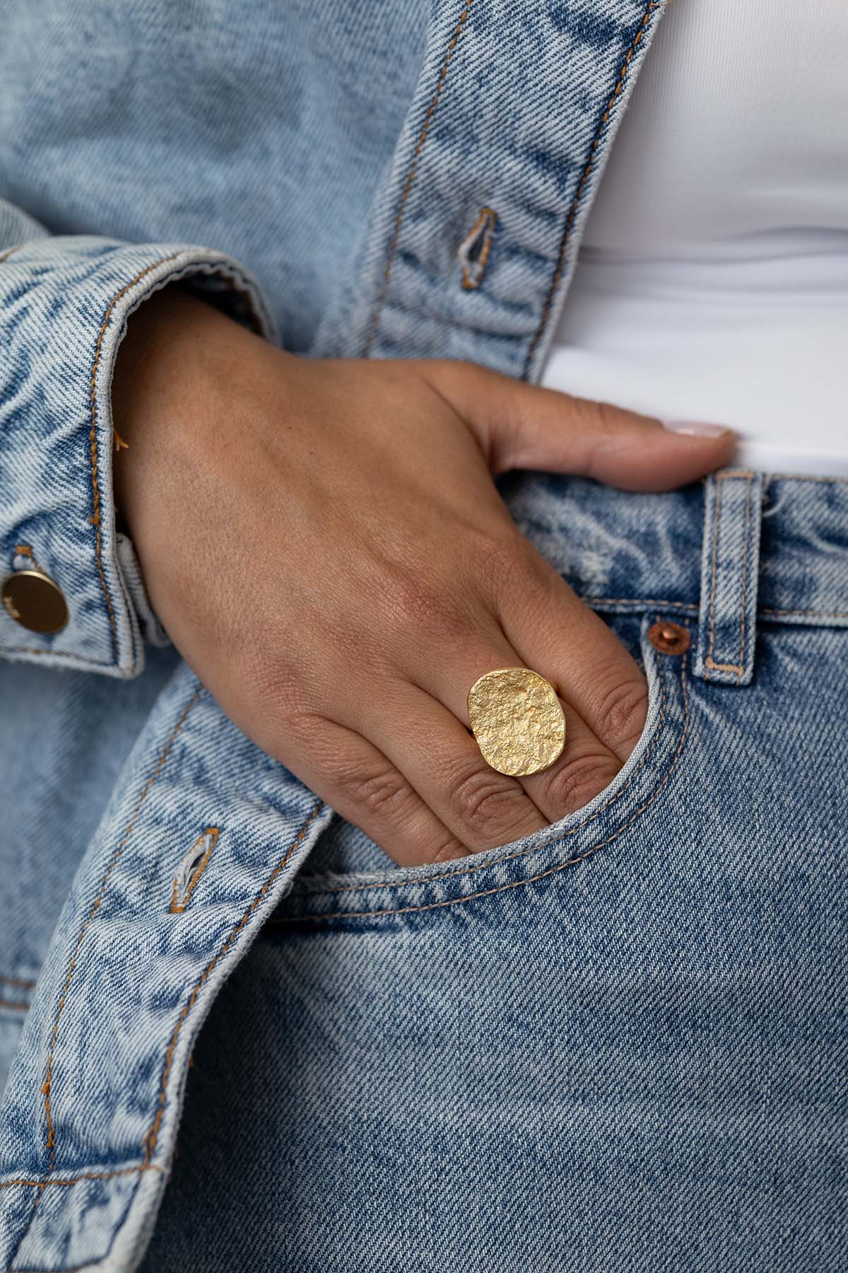 Anillo Albufera