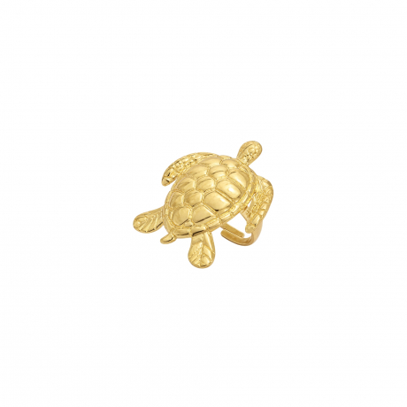 Anillo Tortuga