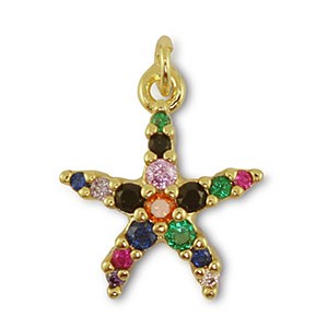 Colgante estrella de mar multicolor
